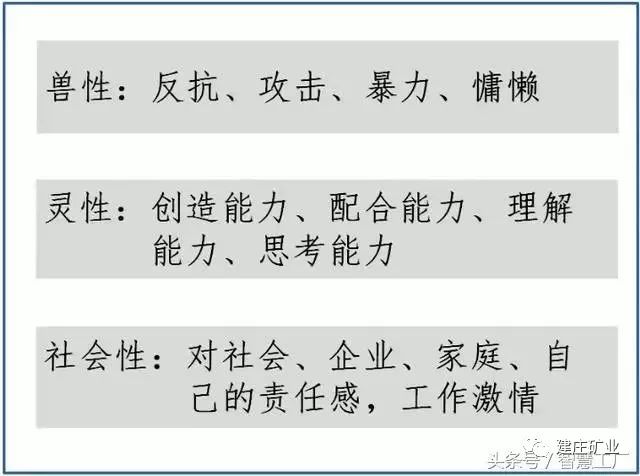 澳门和香港今晚开特马四不像图实证释义、解释与落实